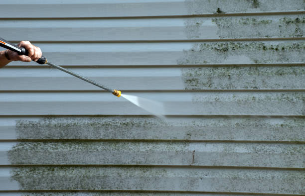 Best Mold Removal Process  in Minden, LA