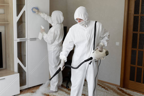 Best Attic Mold Removal  in Minden, LA
