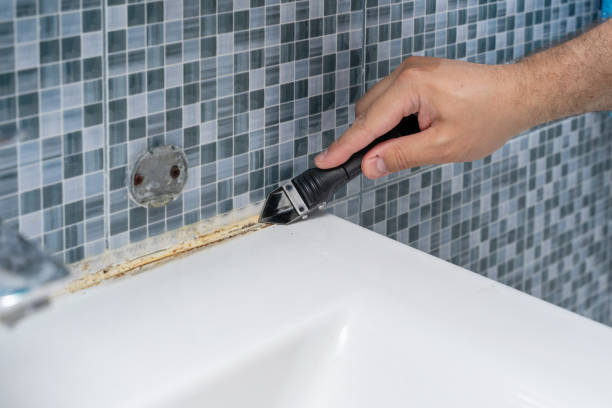 Reliable Minden, LA Mold Removal Solutions