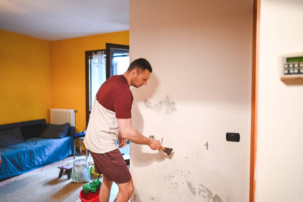 Best Residential Mold Removal  in Minden, LA